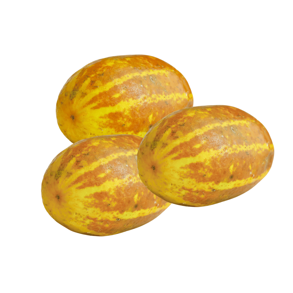 Cucumber (Sambar)