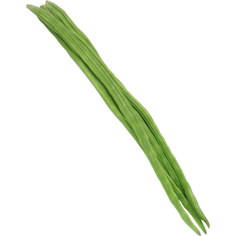 Drumstick