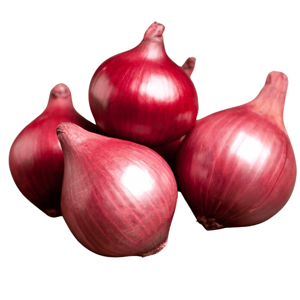 Fresh Onion Small 500 g - Buy Online in Hyderabad