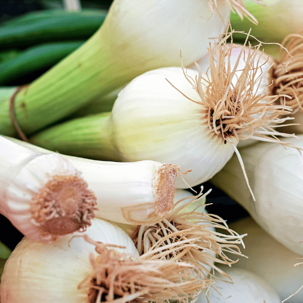 Spring Onions
